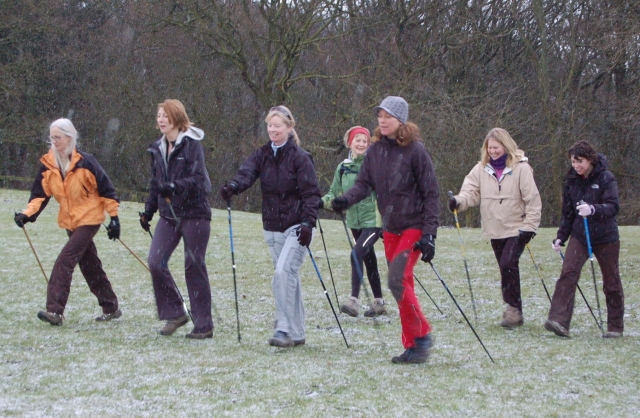  nordic walking 
